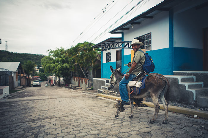 Premier Dentist San Francisco Dental Trip 26